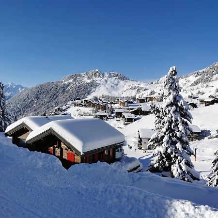 Chalet Enzian Riederalp Eksteriør bilde