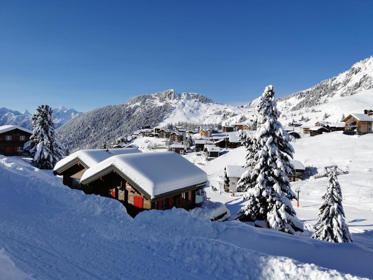 Chalet Enzian Riederalp Eksteriør bilde