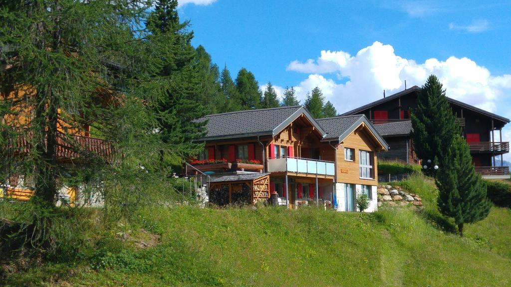 Chalet Enzian Riederalp Eksteriør bilde