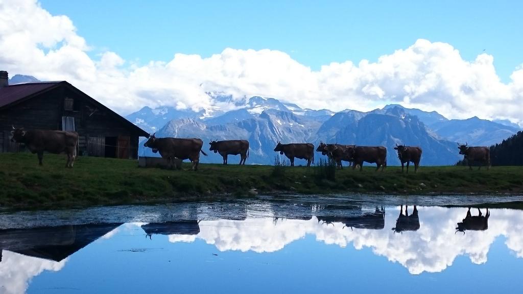 Chalet Enzian Riederalp Eksteriør bilde