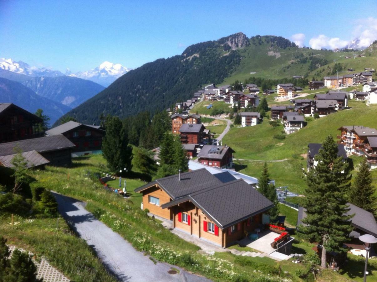 Chalet Enzian Riederalp Eksteriør bilde